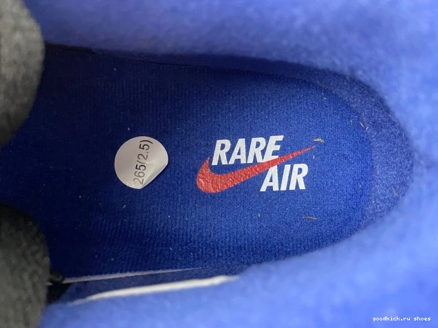 4 Rare Air Jordan Air FV5029-003 0731
